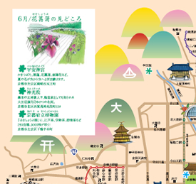 納涼、京の夏の花マップ