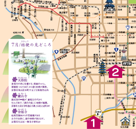 納涼、京の夏の花マップ