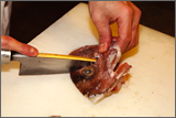 鯛の頭は、鱗、血、汚れなどを丁寧に取っておきます。適当な大きさに割って、大さじ一杯ほどの塩を全体に振り、2〜3時間おきます。	時間がたったら塩を洗い、こんがりと焼きます。